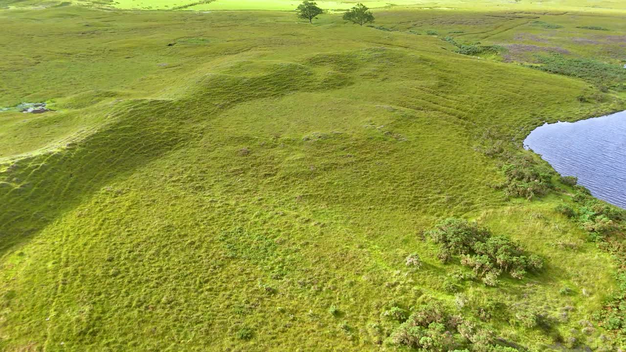 Drone glides above lush green wetland field beside a small lake in the Scottish Highlands, under bright natural daylight with smooth forward camera movement