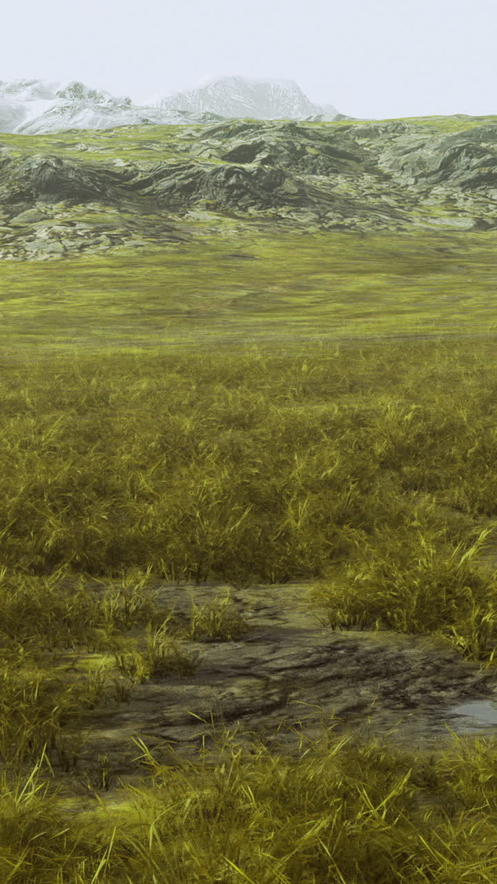 Vast green landscape with mountains in distance under cloudy sky