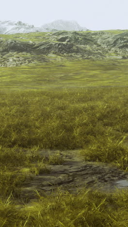 vast green landscape with mountains in distance under cloudy sky
