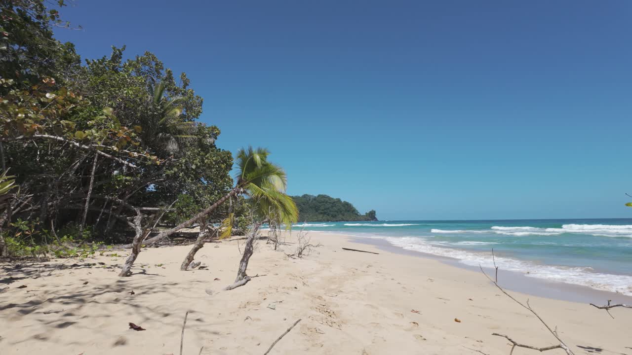 Remote, sandy beach with palm trees and clear waters on Bastimentos Island, Panama
