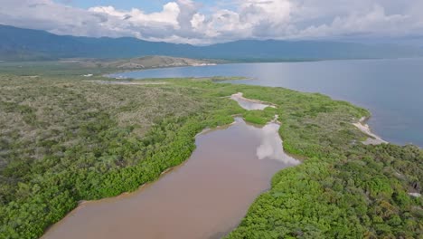 tomada panorámica de un lago marrón rodeado de un denso paisaje de manglares y la playa de tortuguero en la isla de la república dominicana