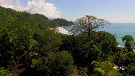 beautiful aerial through jungle trees and over the coast and beaches of costa rica