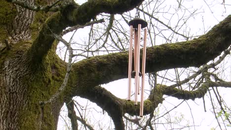 Campanas-De-Viento-Colgando-De-Un-árbol