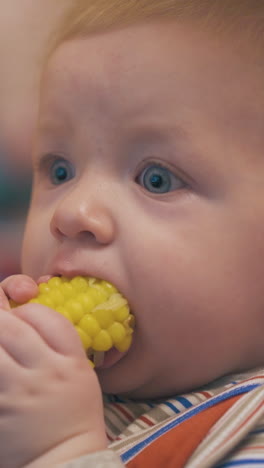 funny little blue eyed boy eats fresh boiled corn on cob sitting with mommy in light room at home extreme close view
