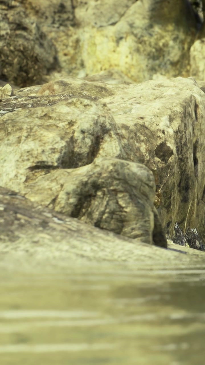 Rocce vicino all'acqua in un ambiente naturale durante il giorno