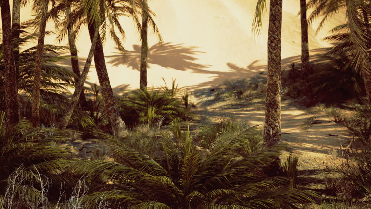 Lush palm trees casting shadows on golden sands in a serene oasis landscape