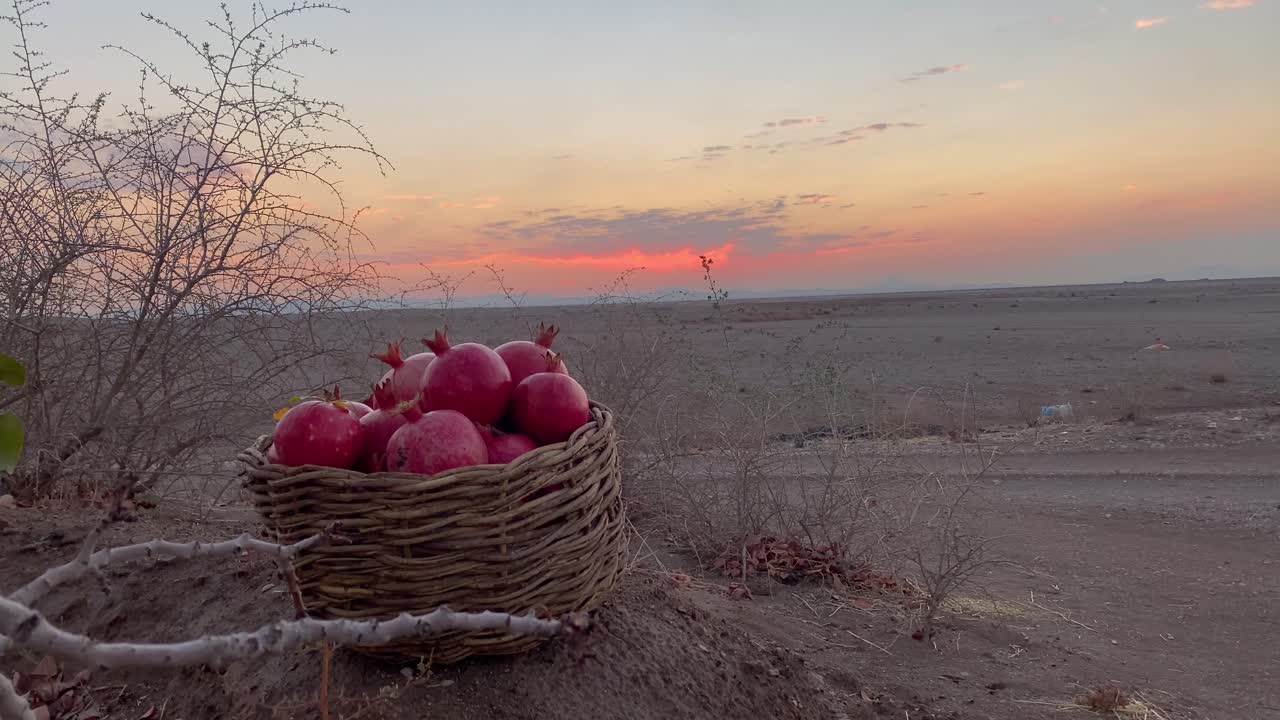 A basket full of fresh Fruits ripe and red organic agriculture pomegranate agriculture city of Aqda historical town in Yazd Ardakan iron mining steel factory in Iran desert sunset twilight garden