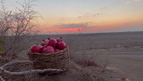 Ein-Korb-Voller-Frischer-Früchte,-Reifer-Und-Roter-Bio-Landwirtschaft,-Granatapfel-Landwirtschaft,-Stadt-Aqda,-Historische-Stadt-In-Yazd,-Ardakan,-Eisenbergbau,-Stahlfabrik-Im-Iran,-Wüste,-Sonnenuntergang,-Dämmerungsgarten