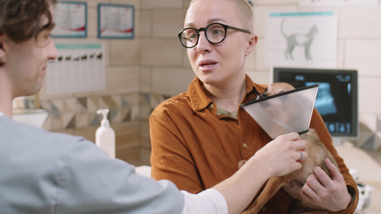 mujer con perro en collar electrónico y hablando con el veterinario