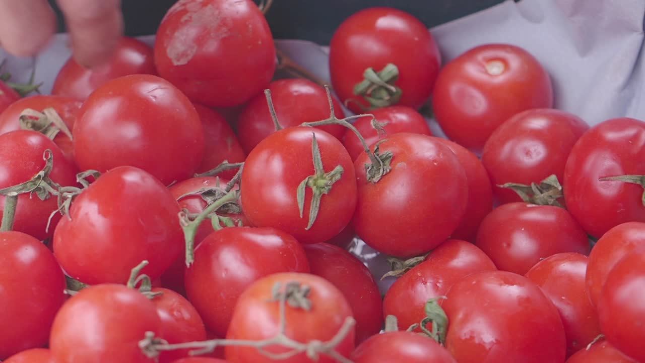 Freshly picked tomatoes at a market