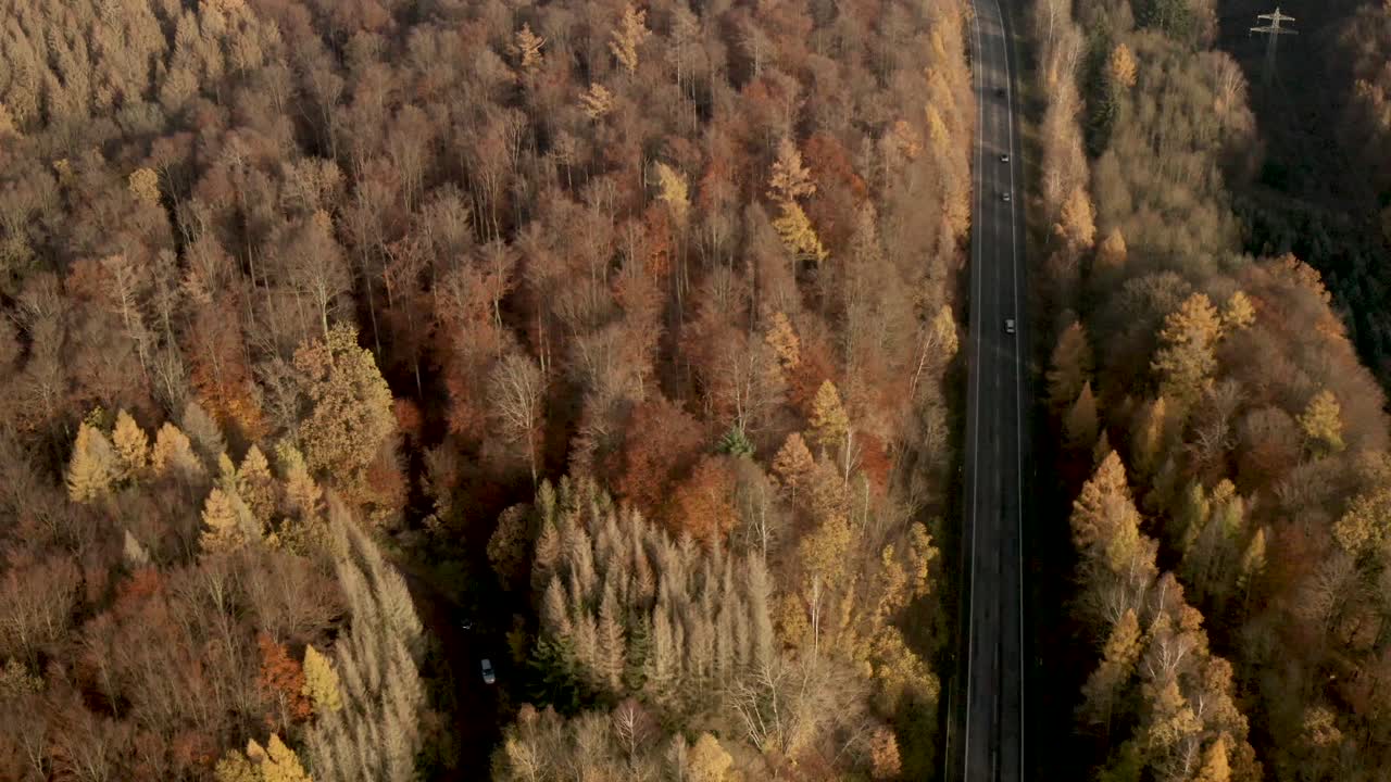 drone volando entre árboles en el parque nacional de harz en otoño con hojas rojas y naranjas cayendo al suelo, alemania, europa