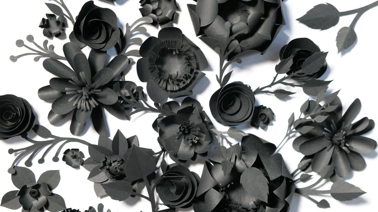 черные бумажные цветы на белом фоне вращаются в кругу