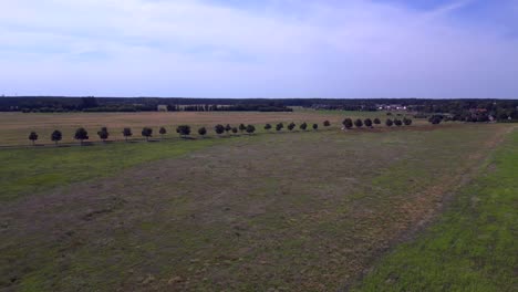 coches conduciendo en una carretera de campo cruzando vastos campos bajo el cielo azul. gran vista aérea rotación de vuelo a la izquierda drone