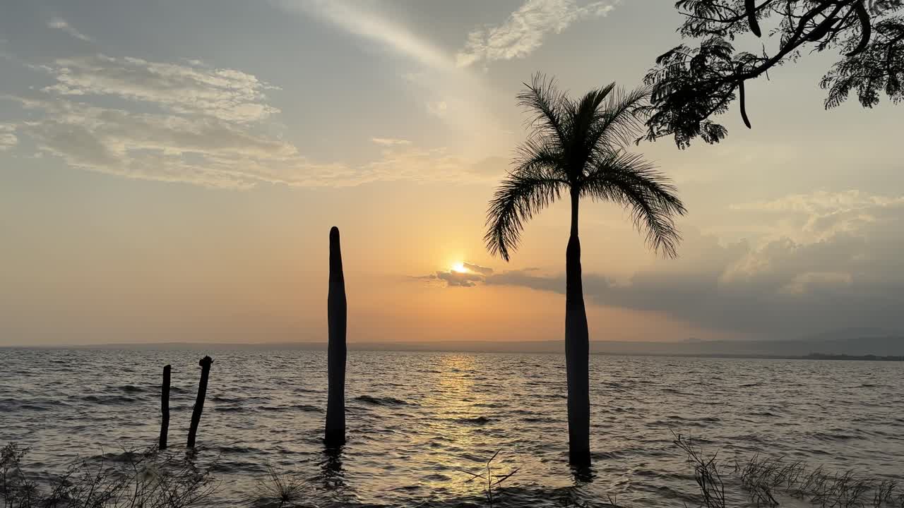 evening sunset in lake Victoria Kenya