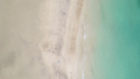 stunning aerial drone shot of sunny playa de sotavento de jandía, fuerteventura, beach, spain