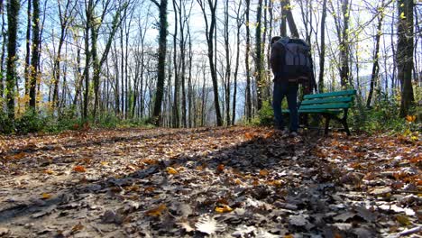 hombre de mochila sentado en el bosque
