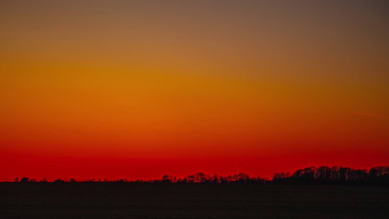 황금색 은 하늘 해가 지고 해가 뜨고, 밝은 어두운 숲이 자연 풍경을 강조합니다.