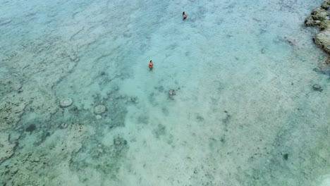 Lady-enjoys-clear-water-on-sunny-day-in-Palm-Island-beach,-bird's-view