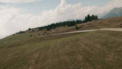 Entdecken-Sie-Die-Schönheit-Der-Italienischen-Berge:-Die-FPV-Drohne-Gleitet-über-Einem-Glitzernden-Teich,-Schwebt-In-Der-Nähe-Von-Radfahrern-Vorbei-Und-Beobachtet-Kühe-Im-Dorf-Luzen