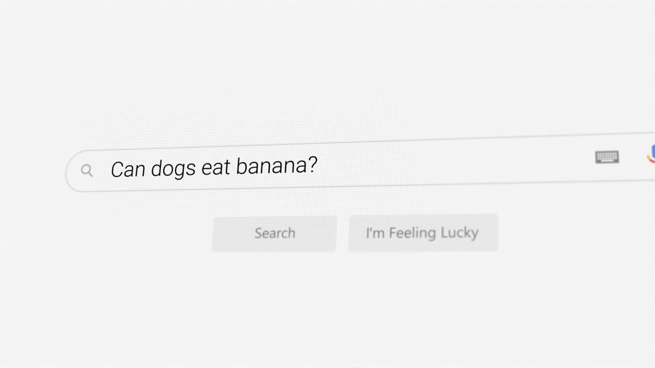 Searching for Can dogs eat banana? on Internet browser