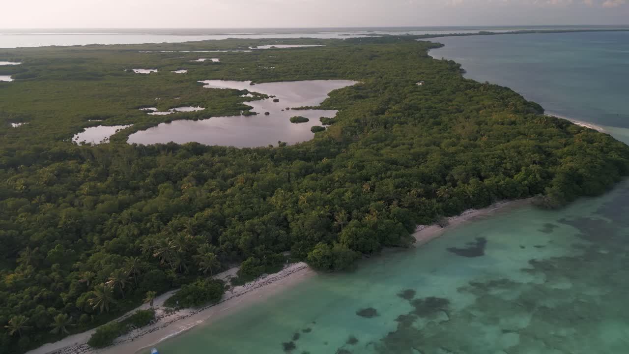 drone fly above natural park biosphere reserve in Tulum Sian Ka'an
