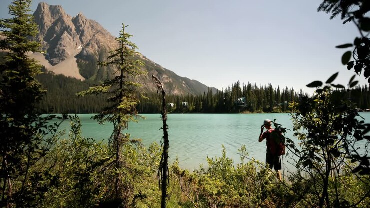 Vista da dietro di un giovane escursionista caucasico con zaino in piedi vicino alla riva del fiume nella foresta 4K