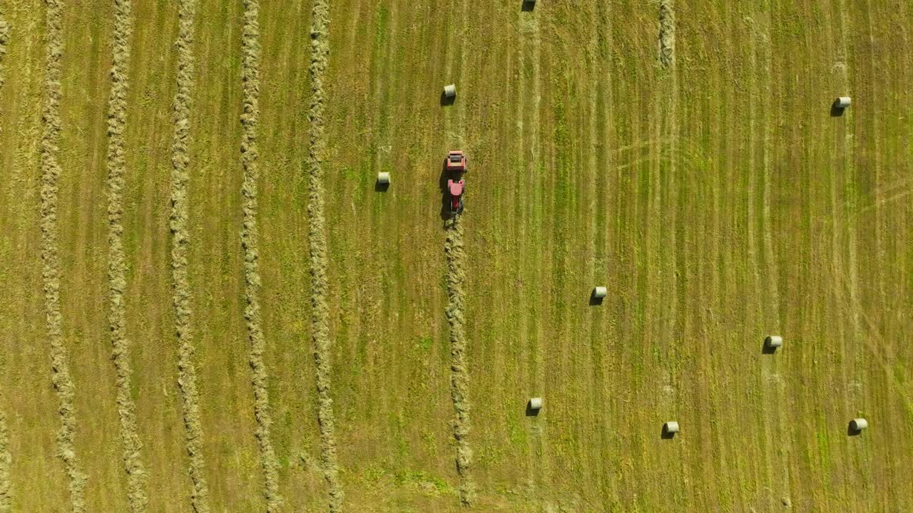 Overhead view of tractor forming hay bales in symmetrical summer field rows