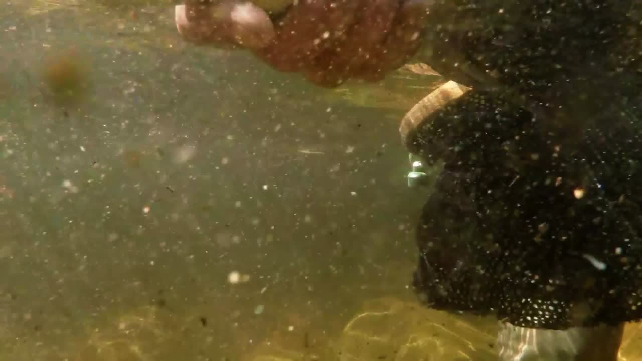 Man fishing with net in river