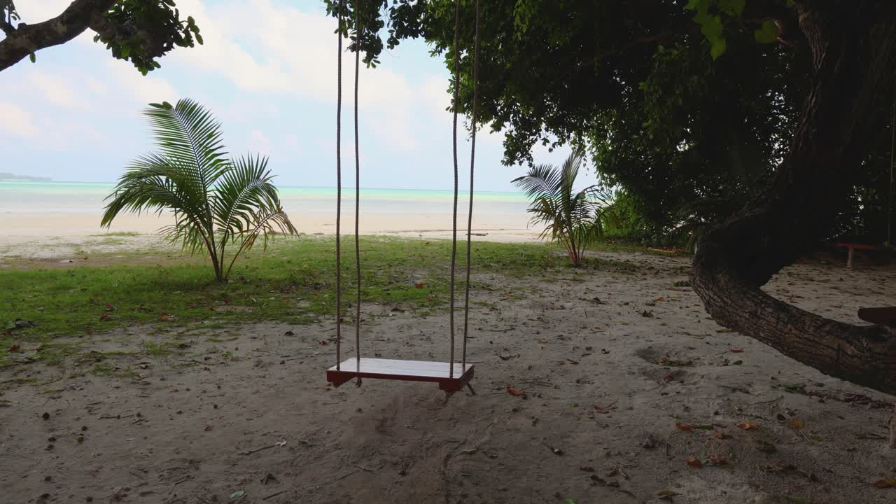 columpio tropical junto al mar con vistas al océano y follaje verde