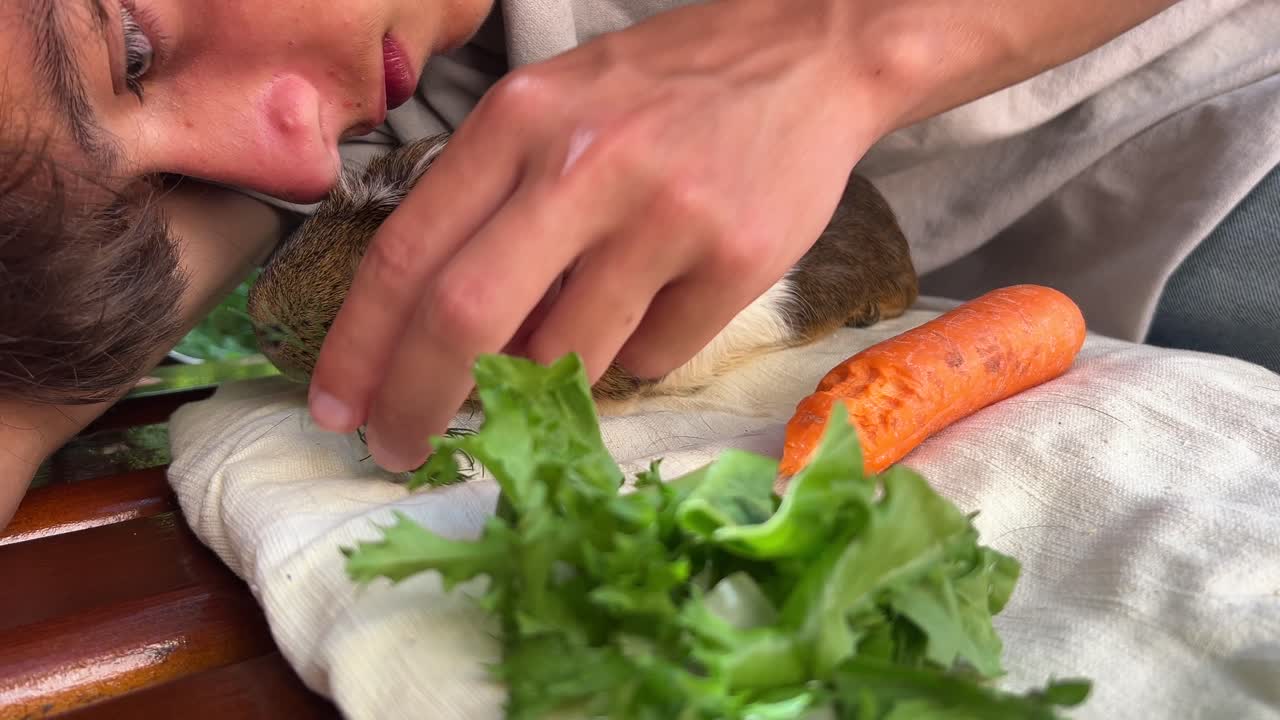 기니피그를 돌보는 아이