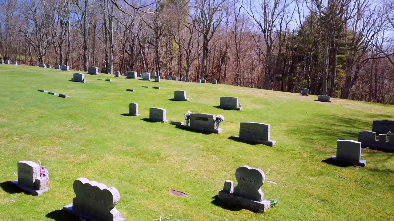 4k의 공중 나뭇가지를 통해 무덤