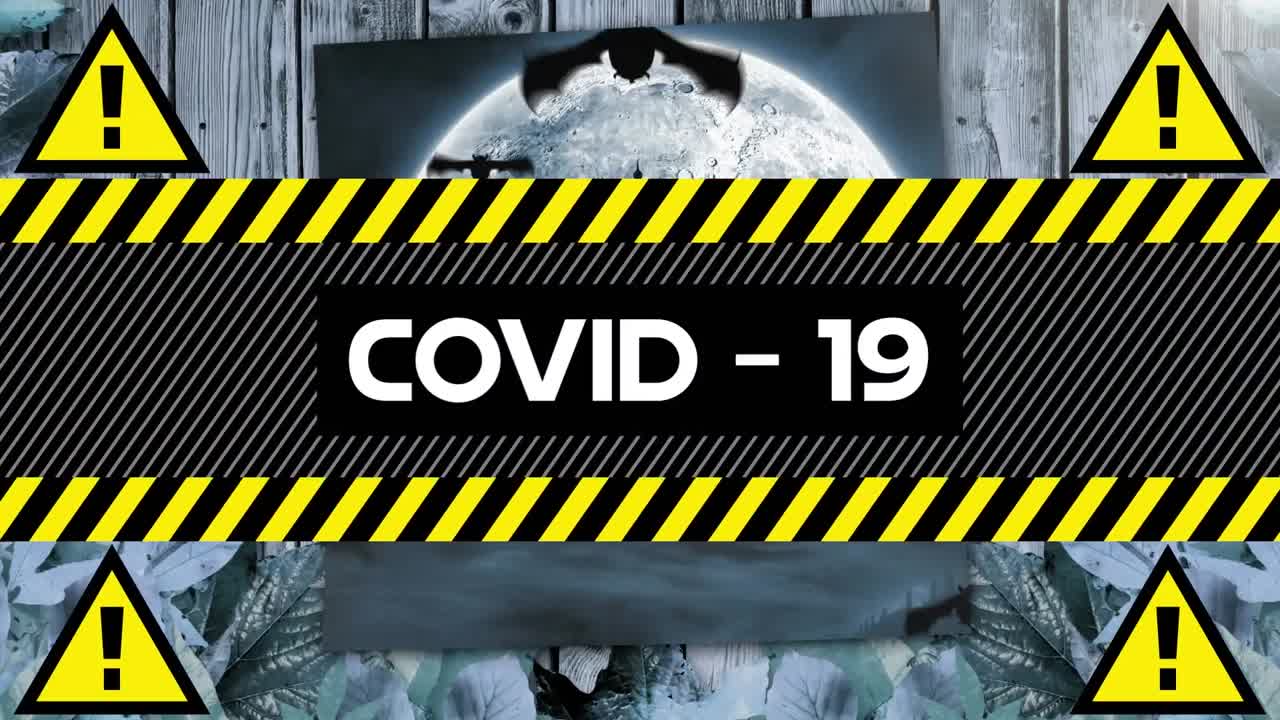 анимация предупреждающего текста ковид-19, над летучими мышами, кладбищем и луной