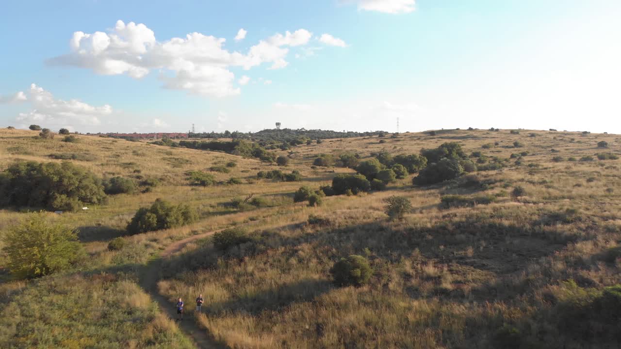 Aerial Fly Over Stream in summer with Green Summer Field