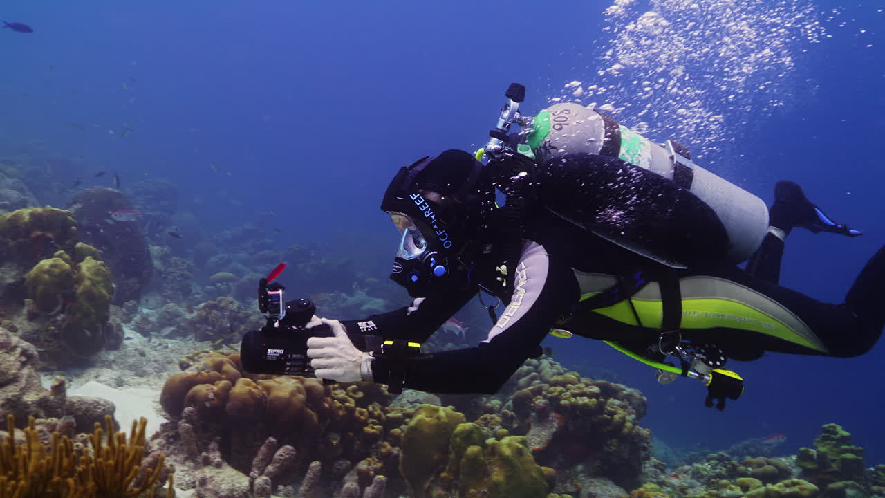 수중 스쿠터를 사용하여 카리브해 산호초 위를 활공하는 다이버