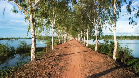 Tree-lined,-never-ending-journey-on-red-dirt-road-through-flooded-lands-after-monsoon