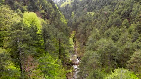 Drohnenvideo-über-Dem-Berg-Olympus-Gorge-Canyon-Enipeas-Bewölkter-Frühlingstag-Griechenland