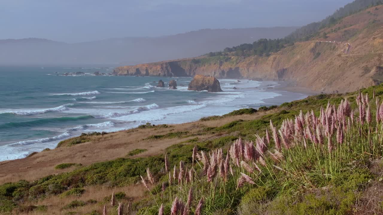 Scenic California coast with sea stacks and flowers along Highway 1