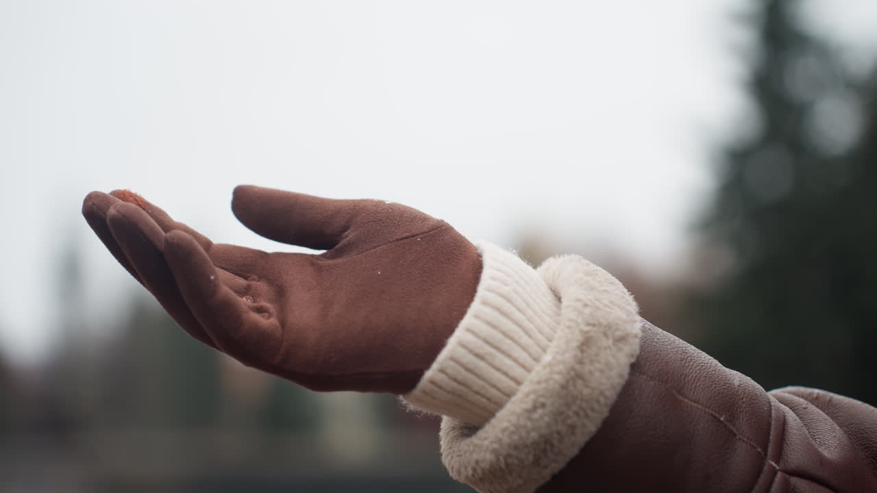 Close-up shot of hand in brown glove and jacket stretched out in light snowfall, with snowflakes gently landing on it, creating a serene winter atmosphere