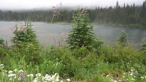 Mist-rising-over-a-calm-lake-in-Mt