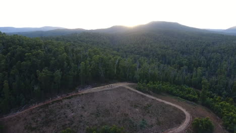 Dron-Del-Bosque-Saca