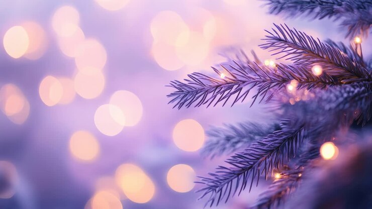 Close-up angle of frosted pine branches with warm bokeh lights, perfect for a festive video