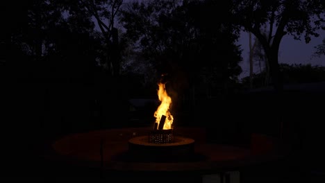 beautiful bonfire out in nature at evening time