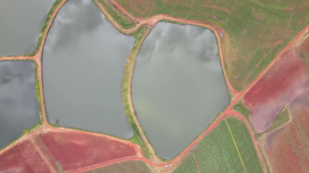 Overhead Harmony: Drone's Eye View of Red and Green Plantation with Ponds