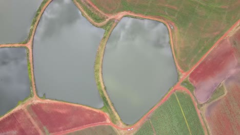 Armonía-Aérea:-Vista-Desde-Un-Dron-De-Una-Plantación-Roja-Y-Verde-Con-Estanques