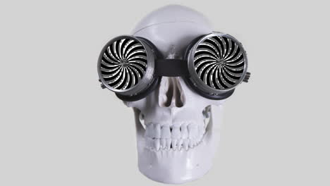 human skull with sunglasses