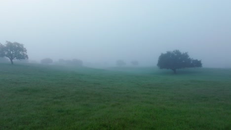 drone shot fly through misty forest