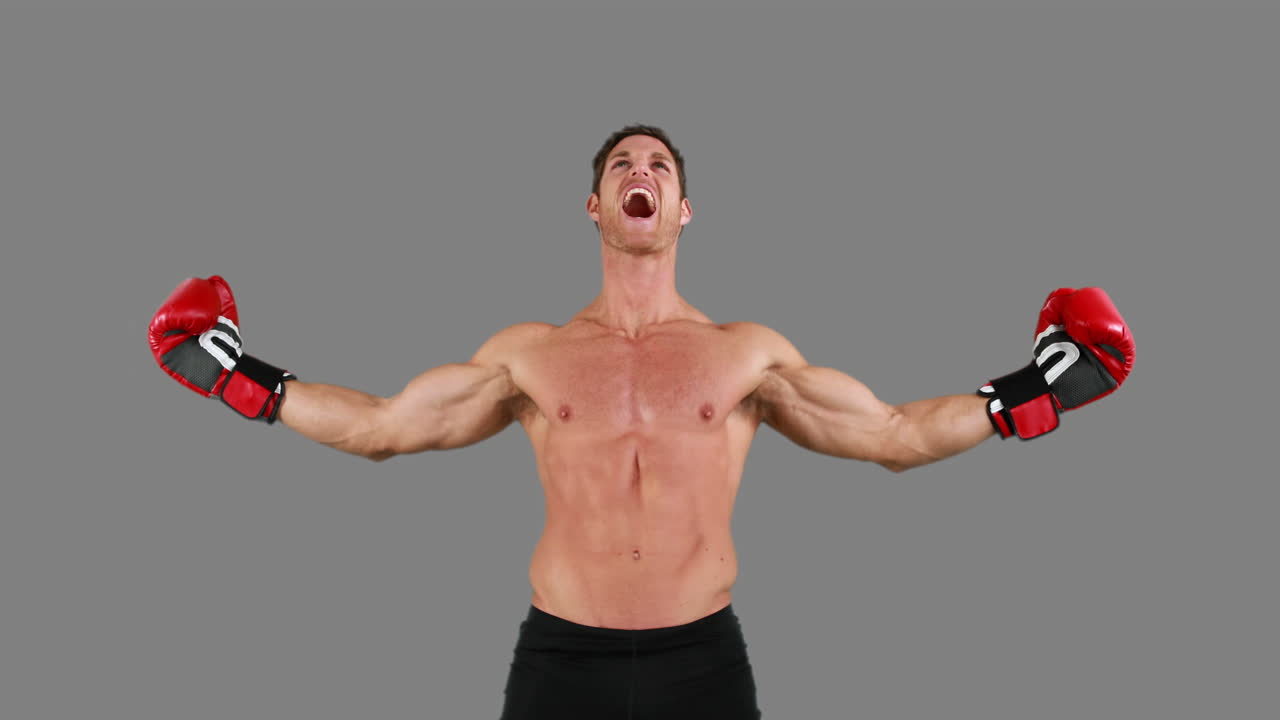 회색 배경에 장갑을 입은 화가 난 권투 선수