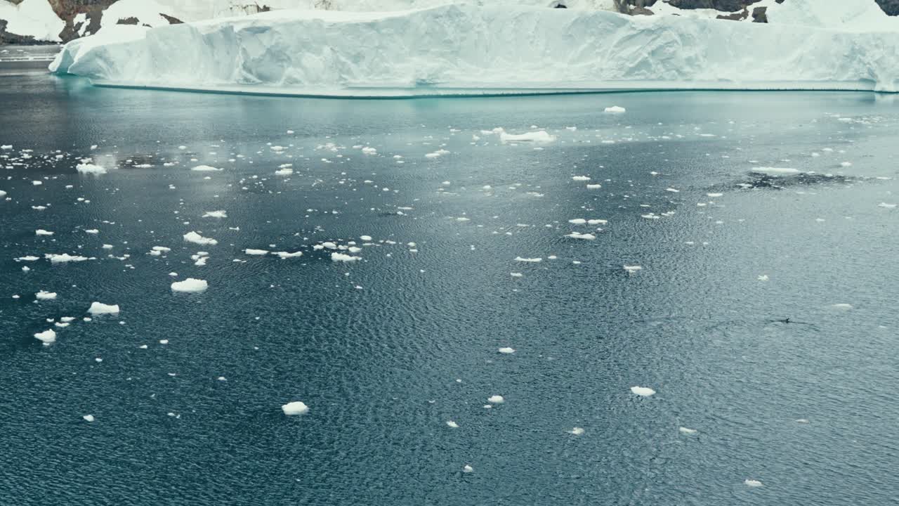 Inclinación ascendente de dron aéreo revela pingüinos nadando entre hielo fragmentado frente a un enorme iceberg tabular y escarpados acantilados antárticos nevados