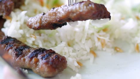 grilled meat with rice and salad