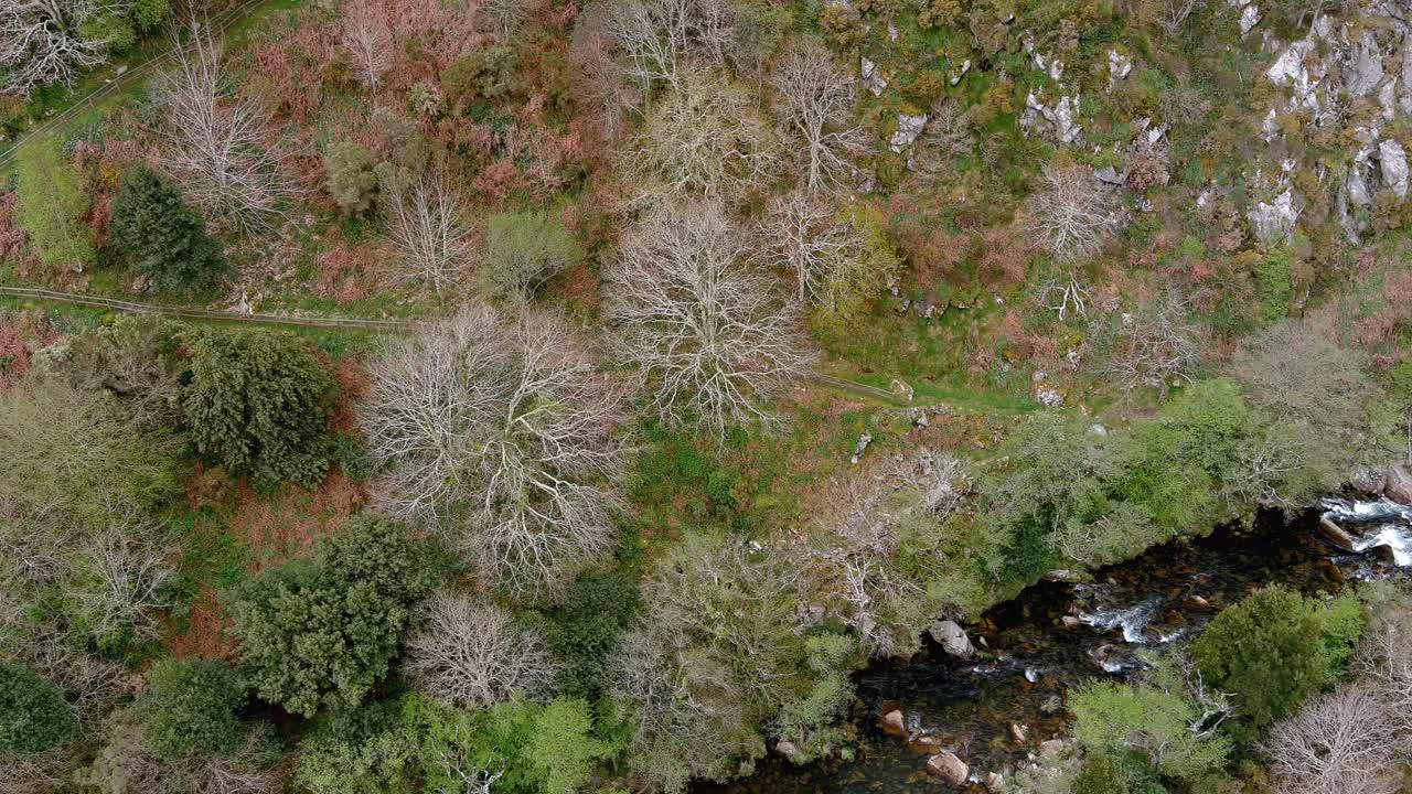 rio sor a través de un valle con bosques y un camino de montaña en primavera